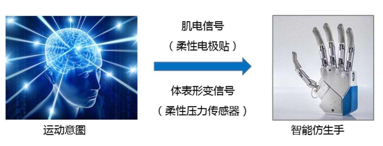 04好消息！柔性壓力傳感器助力新型仿生手研制.jpg