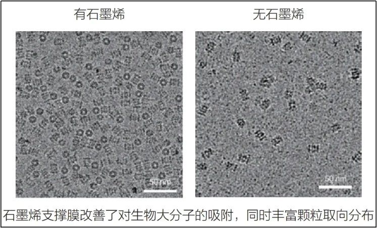 微信截圖_20240605092702.jpg